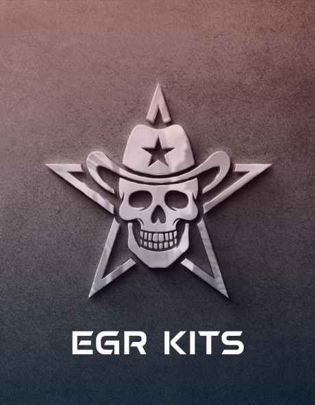 EGR Kits